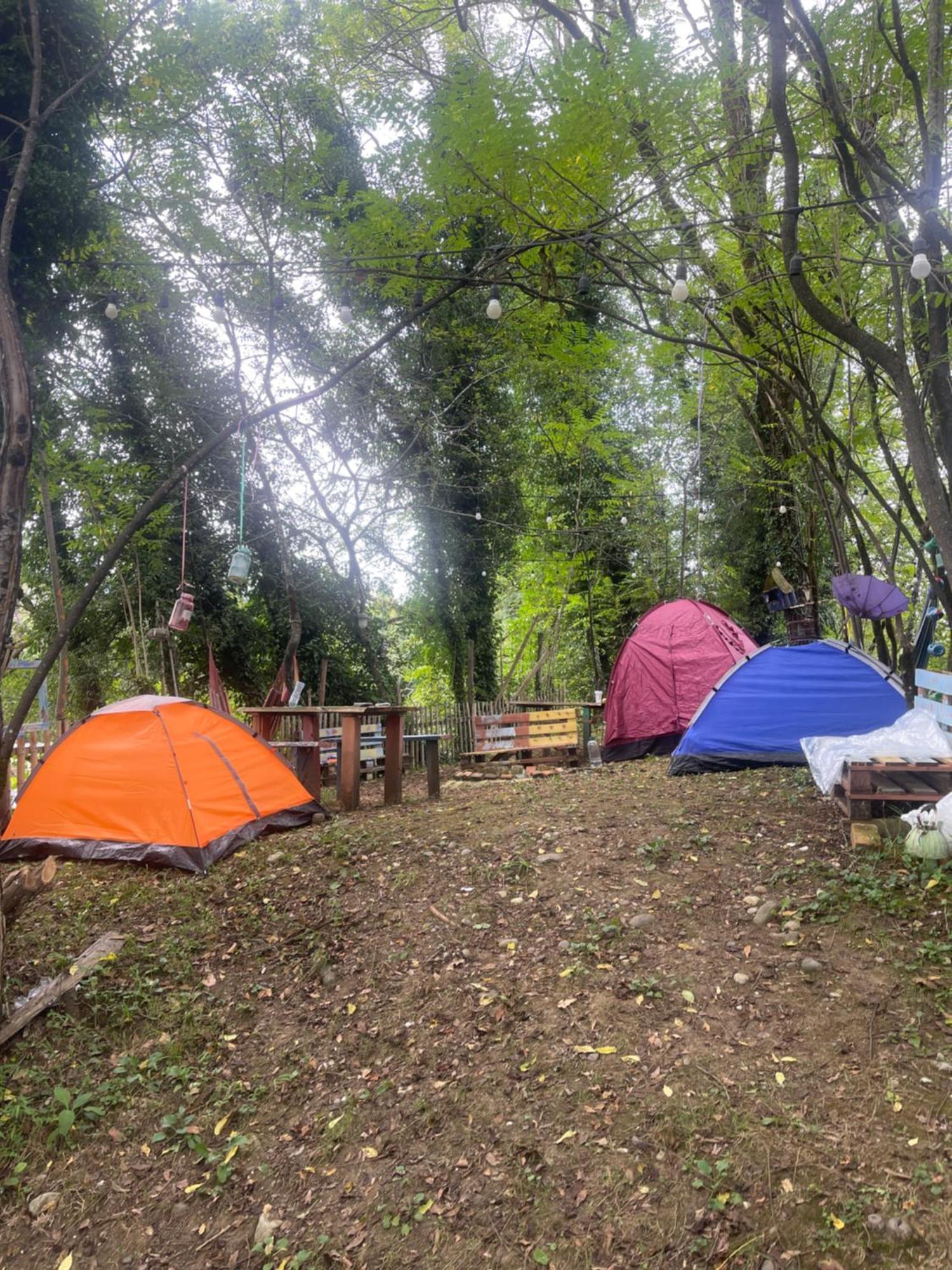 מרטווילי Odo'S Guest House מראה חיצוני תמונה